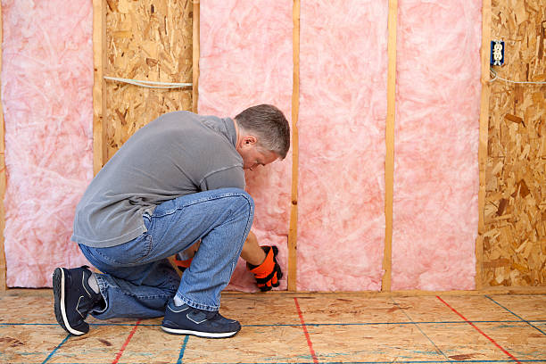 Best Insulation Removal  in Fairbanks, AK